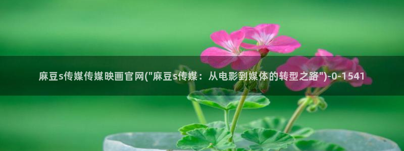 麻豆传媒网址官网：麻豆s传媒传媒映画官网(\