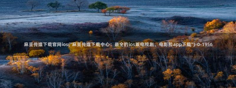 麻豆视传媒官网污