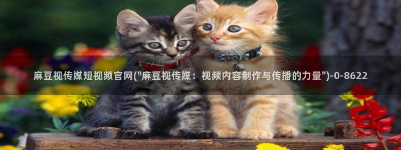 2020麻豆传媒官网：麻豆视传媒短视频官网(\