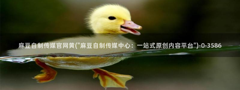 91麻豆传媒官网：麻豆自制传媒官网黄(\