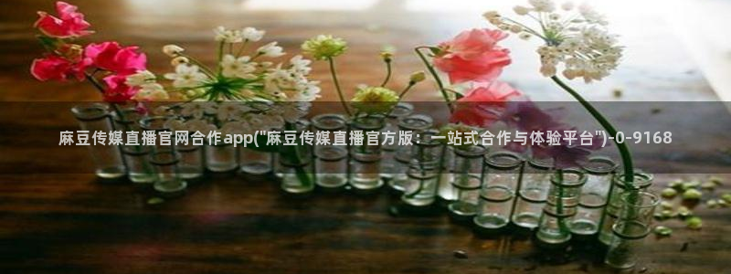 麻豆传媒映话官网：麻豆传媒直播官网合作app(\