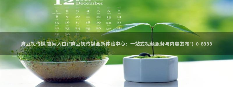 麻豆日记传媒官网：麻豆视传媒 官网入口(\