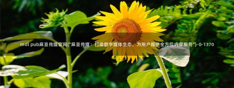 麻豆传媒官网地址破解：mdl pub麻豆传媒官网(\