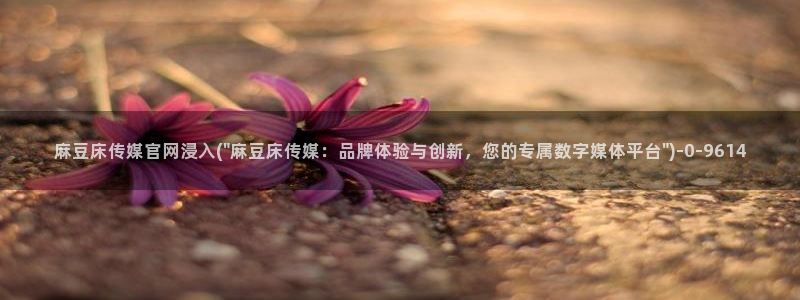 麻豆传媒播官网：麻豆床传媒官网浸入(\