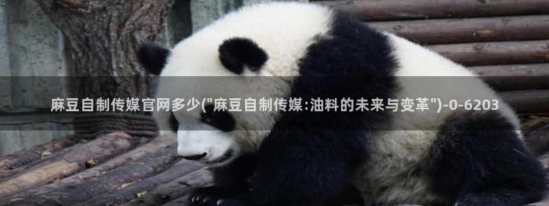 台湾麻豆传媒官网app：麻豆自制传媒官网多少(\