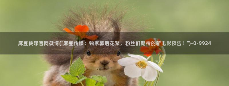 麻豆传媒传播官网：麻豆传媒官网微博(\