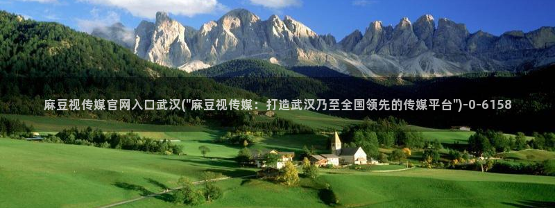 麻豆传媒官网在线：麻豆视传媒官网入口武汉(\