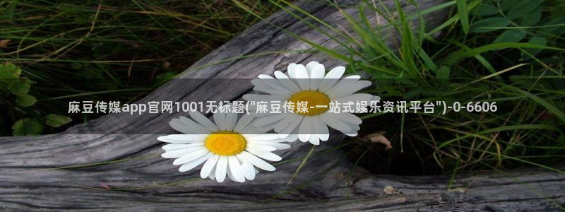 麻豆 传媒官网：麻豆传媒app官网1001无标题(\