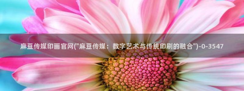 麻豆传媒官网西瓜：麻豆传媒印画官网(\