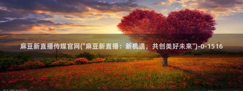 麻豆传媒官网在哪：麻豆新直播传媒官网(\