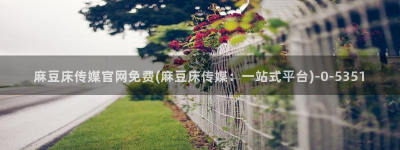 麻豆 传媒官网：麻豆床传媒官网免费(麻豆床传媒：一站式平台)