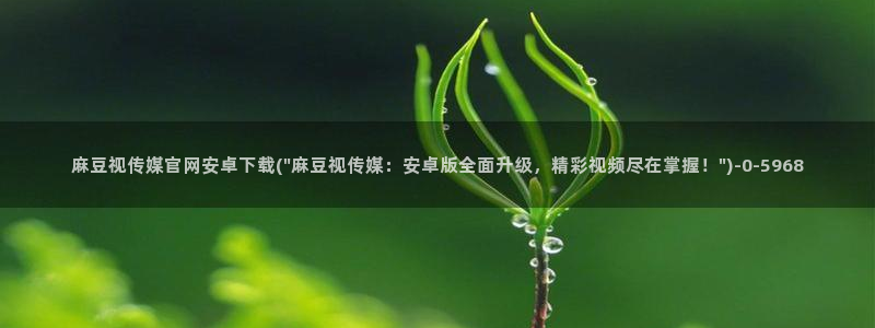 麻豆啊传媒官网免费：麻豆视传媒官网安卓下载(\