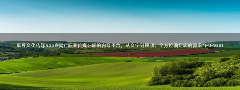 麻豆经济传媒台湾官网：麻豆文化传媒app官网(\