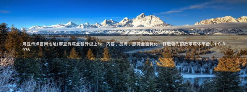 麻豆视传媒短网站官网：麻豆传媒官网地址(麻豆传媒全新升级上线：内容、品牌、服务全面优化，打造领先的数字媒体平台。)