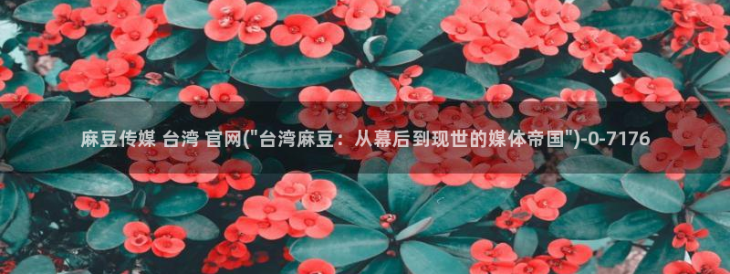 mdpub麻豆传媒官网pub：麻豆传媒 台湾 官网(\