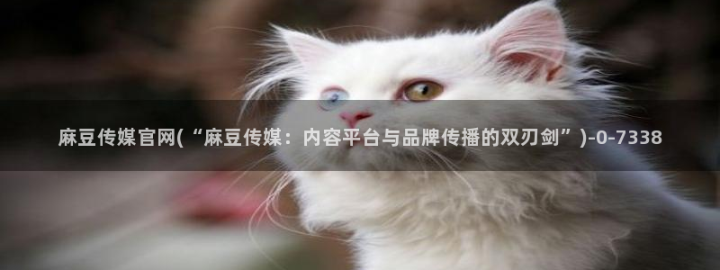 麻豆短传媒app官网：麻豆传媒官网(“麻豆传媒：内容平台与品牌传播的双刃剑”)