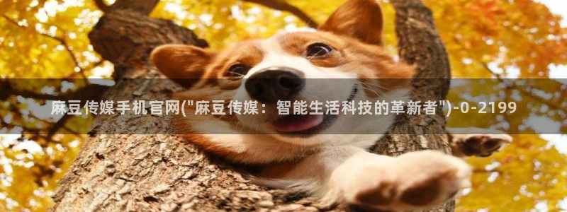 麻豆传媒官网 在线：麻豆传媒手机官网(\