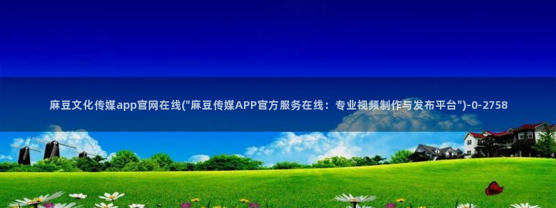 麻豆印像传媒官网