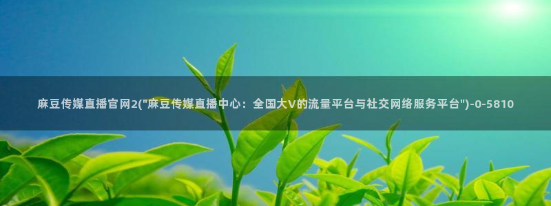 麻豆传媒官网樱桃cherry
