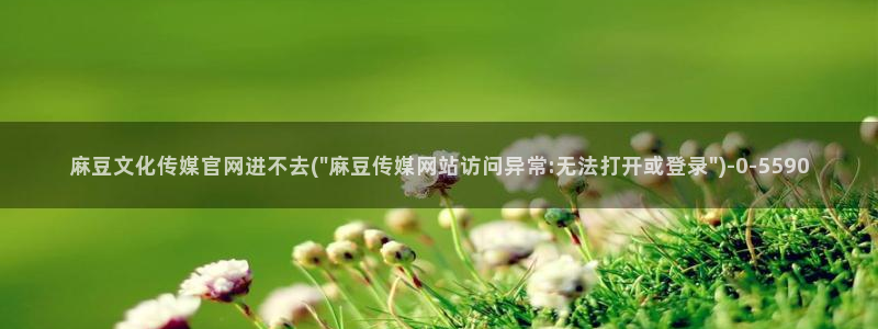 麻豆传媒官网磁力