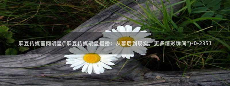 麻豆传媒 官网