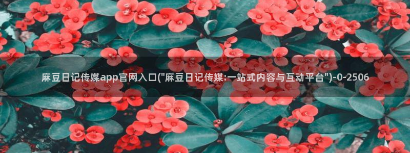 麻豆映话传媒官网